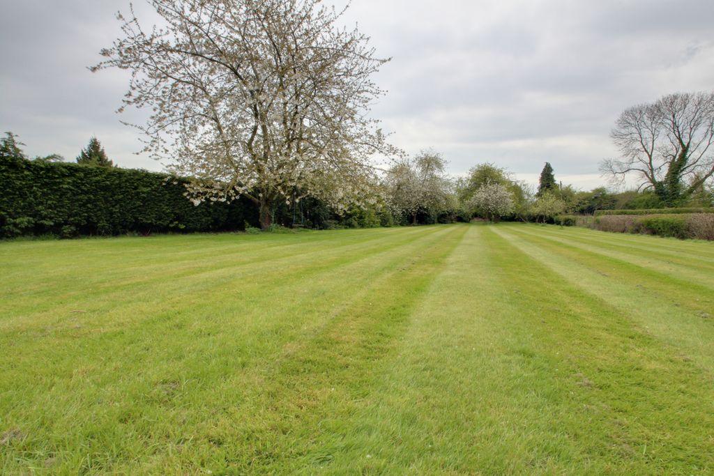 The Orchard