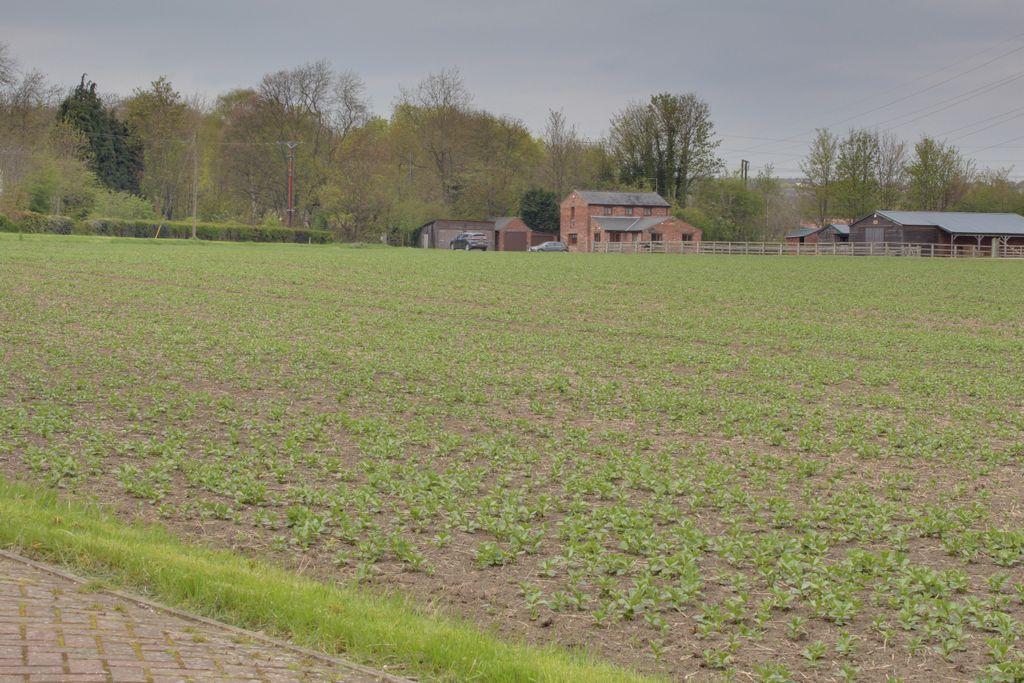 View from the driveway over the adjacent field