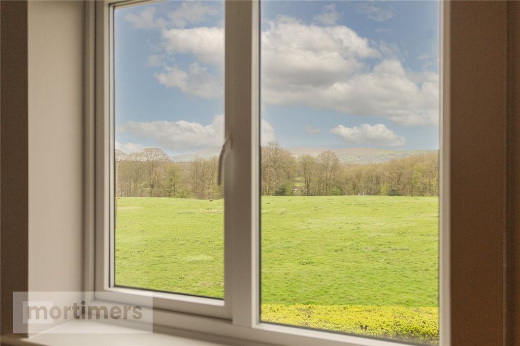 Window