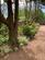 Additional image 20 of Green Den, Dunnottar, Stonehaven, Kincardineshire, AB39