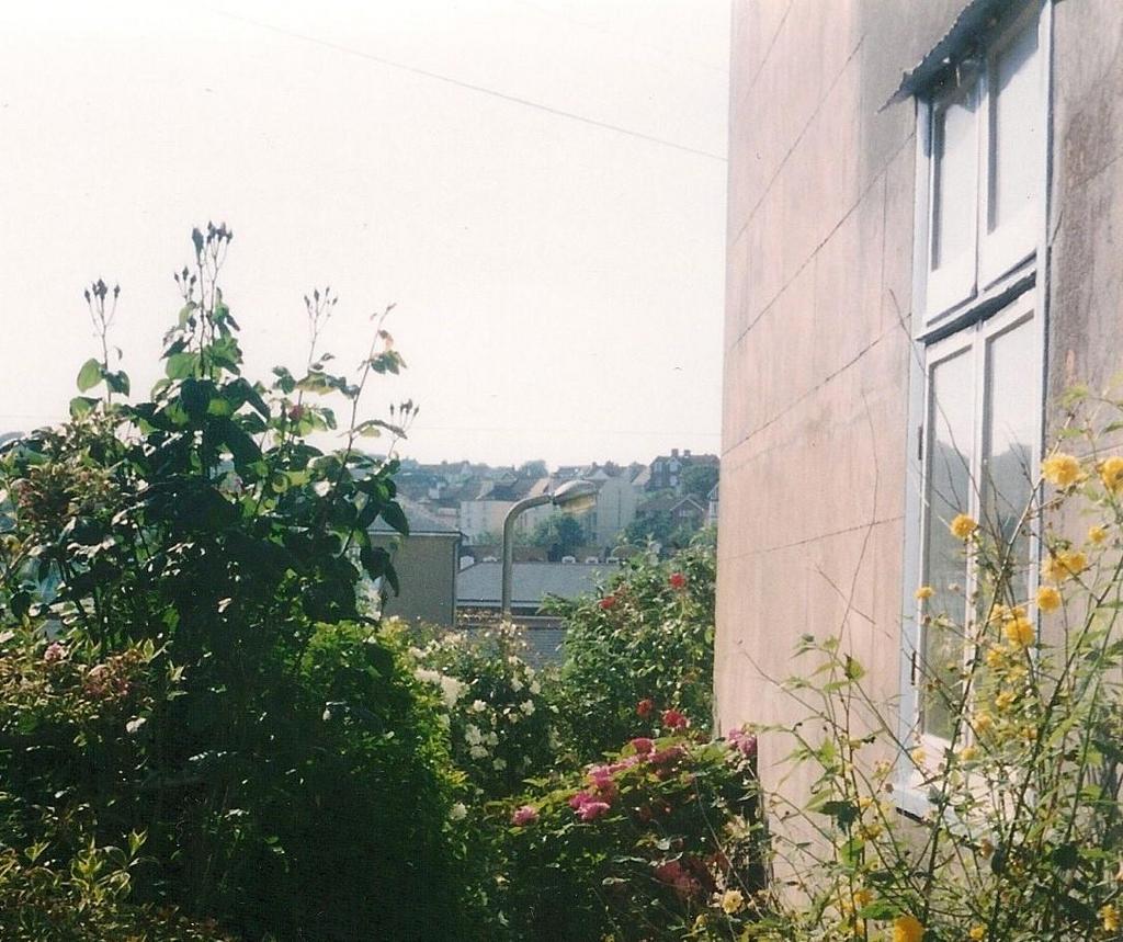 Garden-1.jpg
