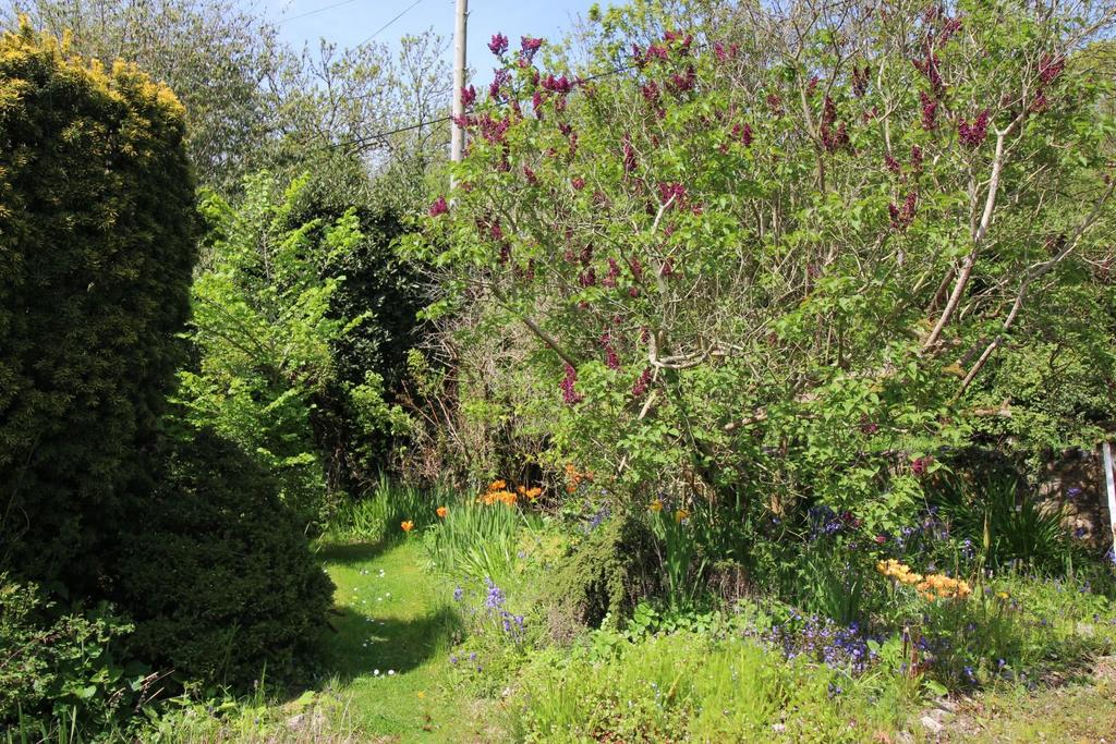 Img 3750.jpg