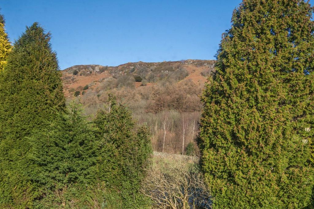 View from bedroom window
