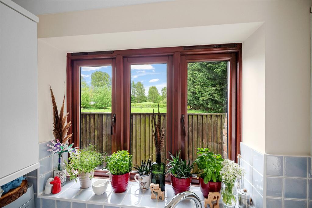 Kitchen View