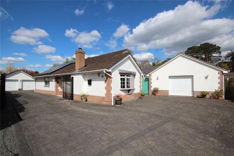 3 bedroom bungalow for sale, Lions Wood, St. Leonards, Ringwood, Hampshire, BH24