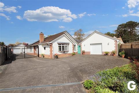 undefined, Lions Wood, St. Leonards, Ringwood, Hampshire, BH24