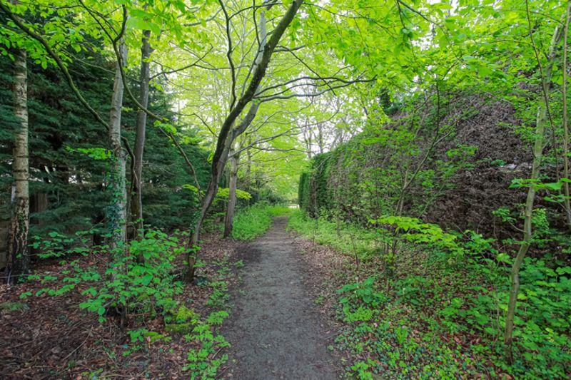 Garden Path