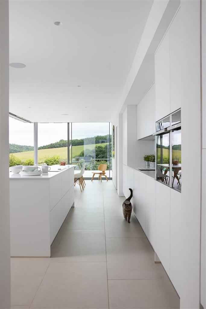 Kitchen/dining/living