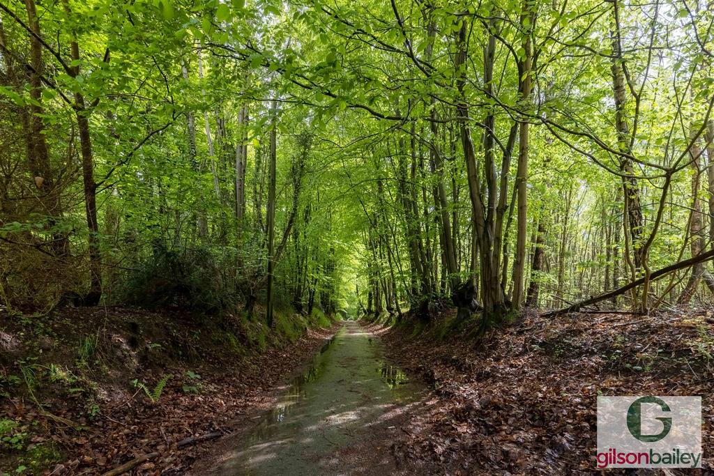 Gb-48.jpg