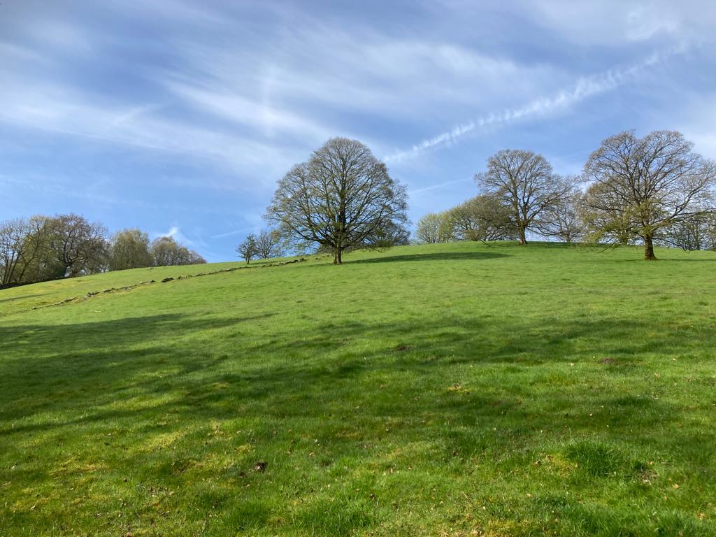Sutton in Craven BD20 Land £40,000