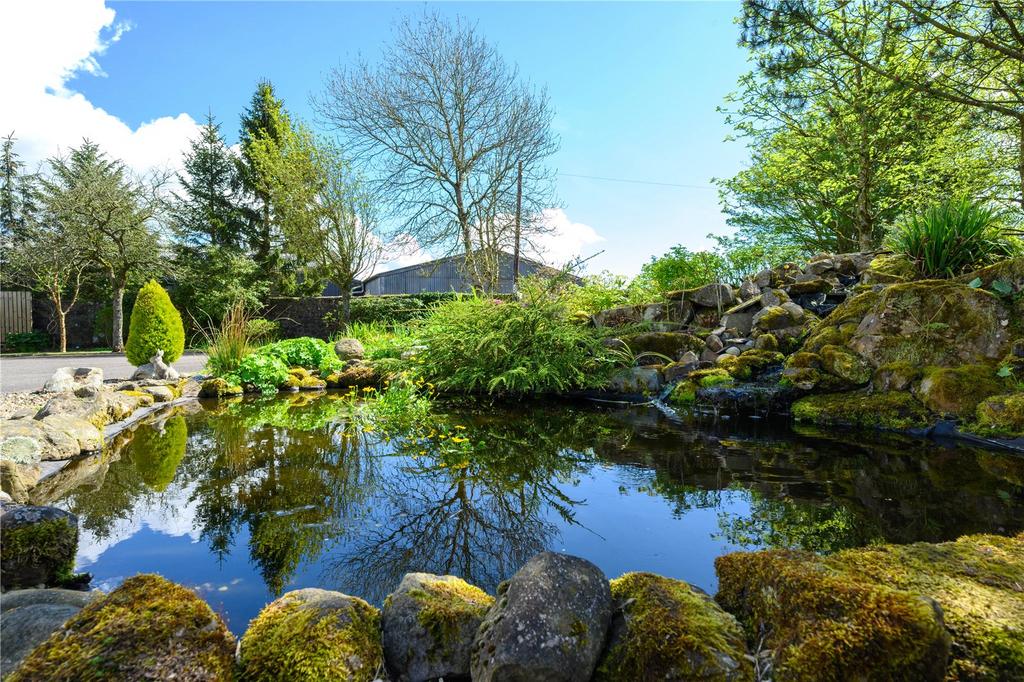 Pond