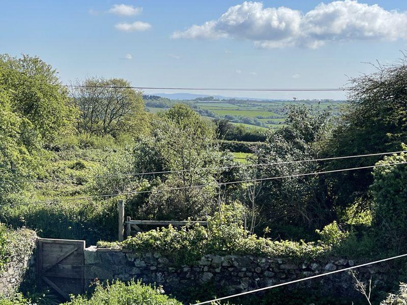 Rear Gate and View