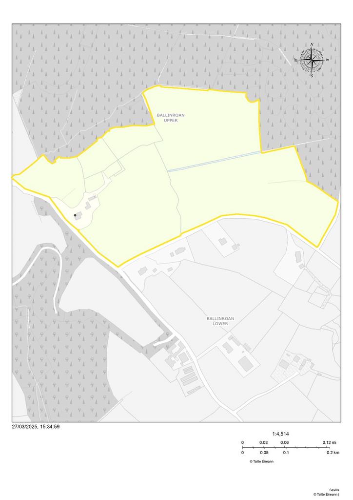 Ballinroan Map