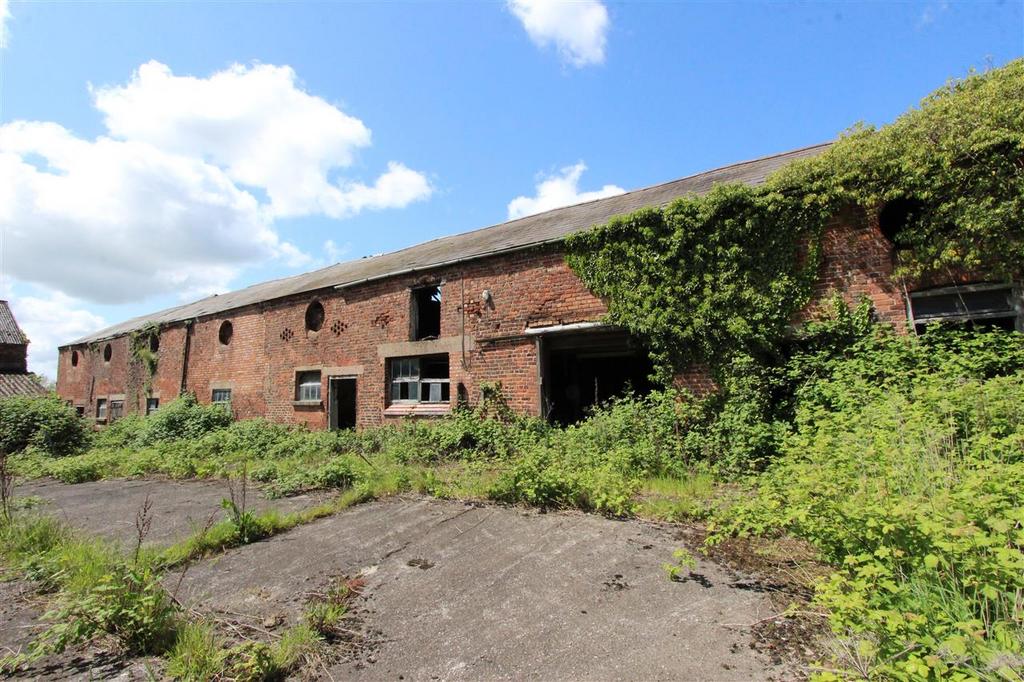 Barns 3