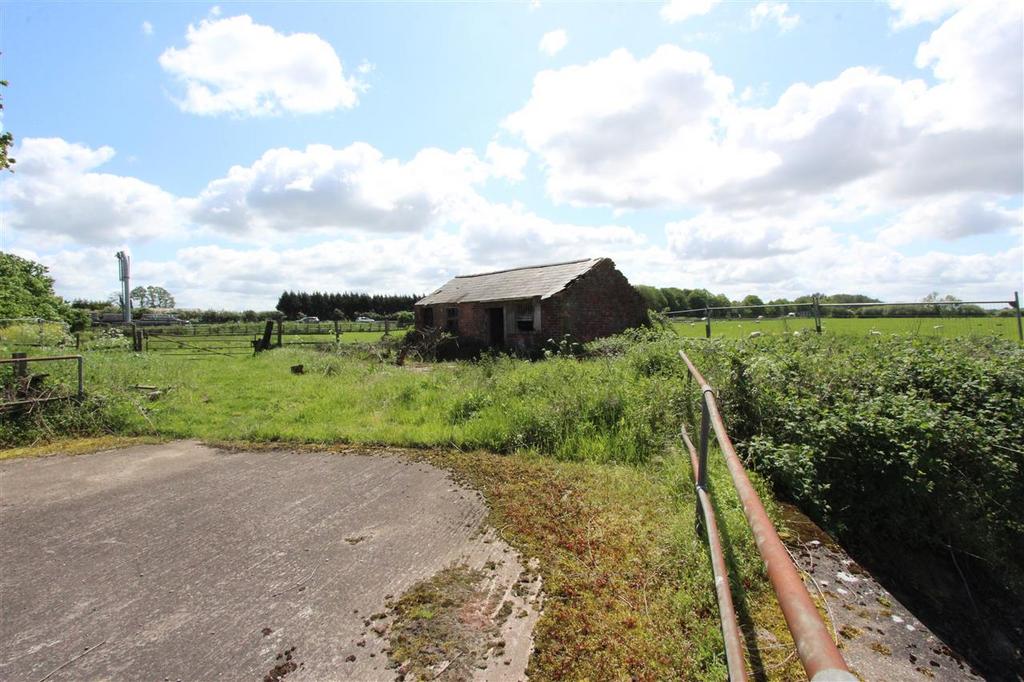 Barns 6