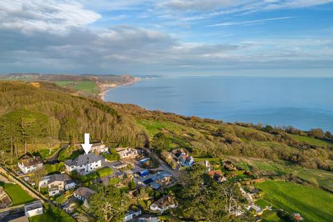 undefined, Timber Hill, Lyme Regis, Dorset
