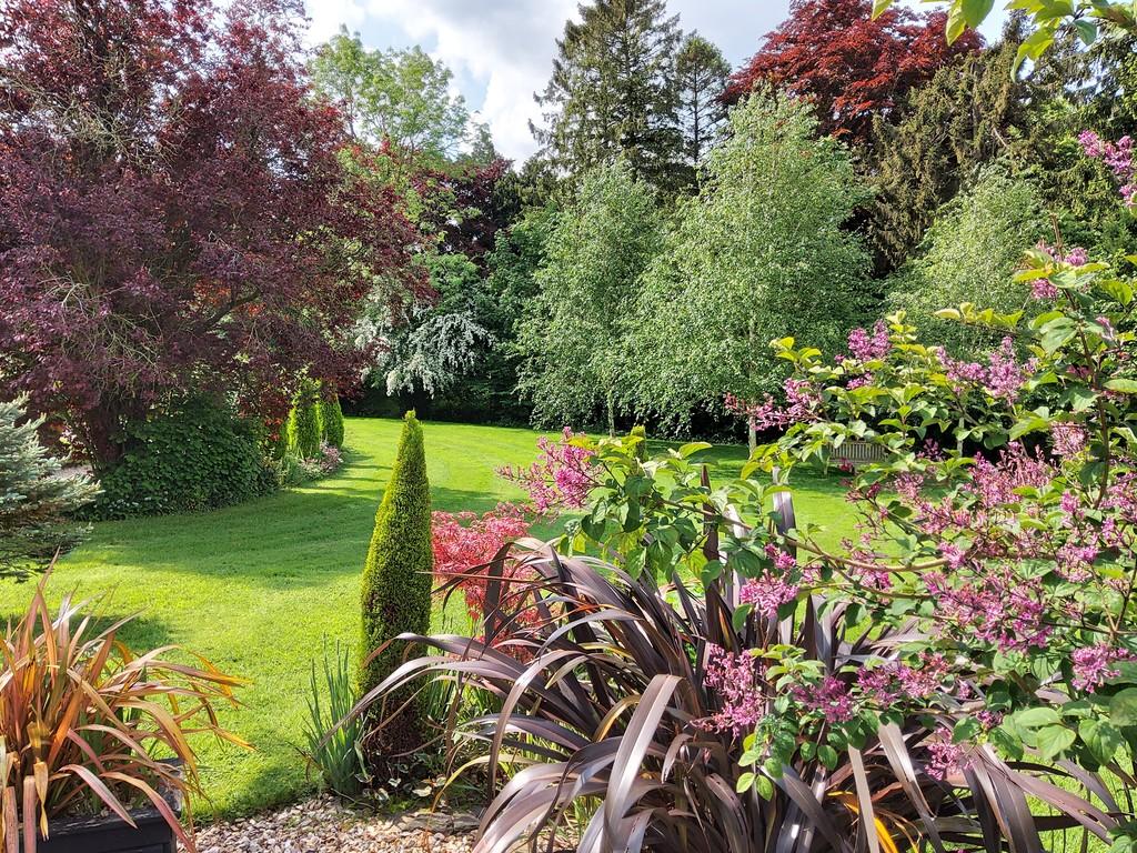 Avondale garden
