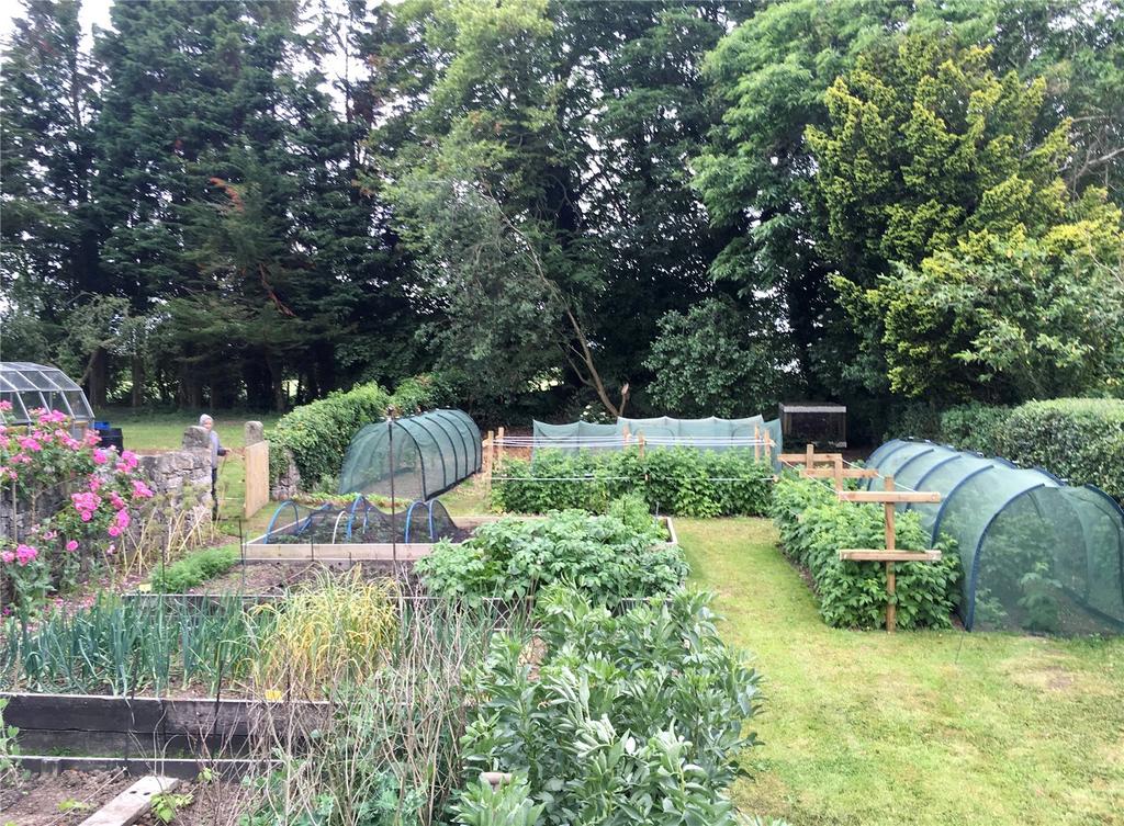 Kitchen Garden