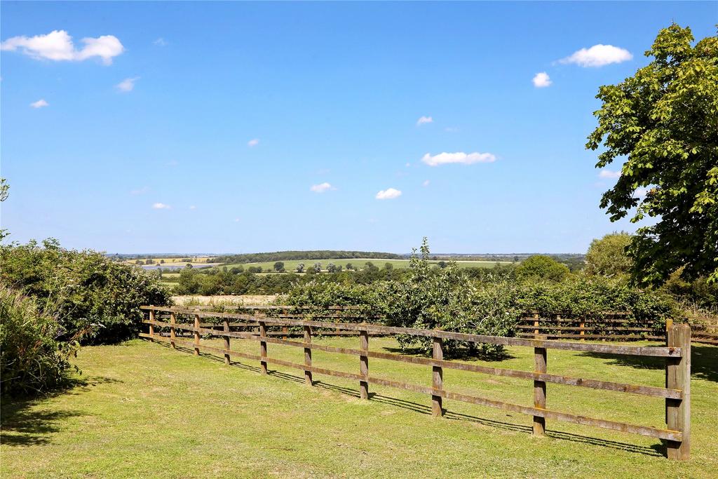 Pasture
