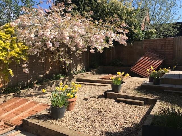 29 Garden.jpg
