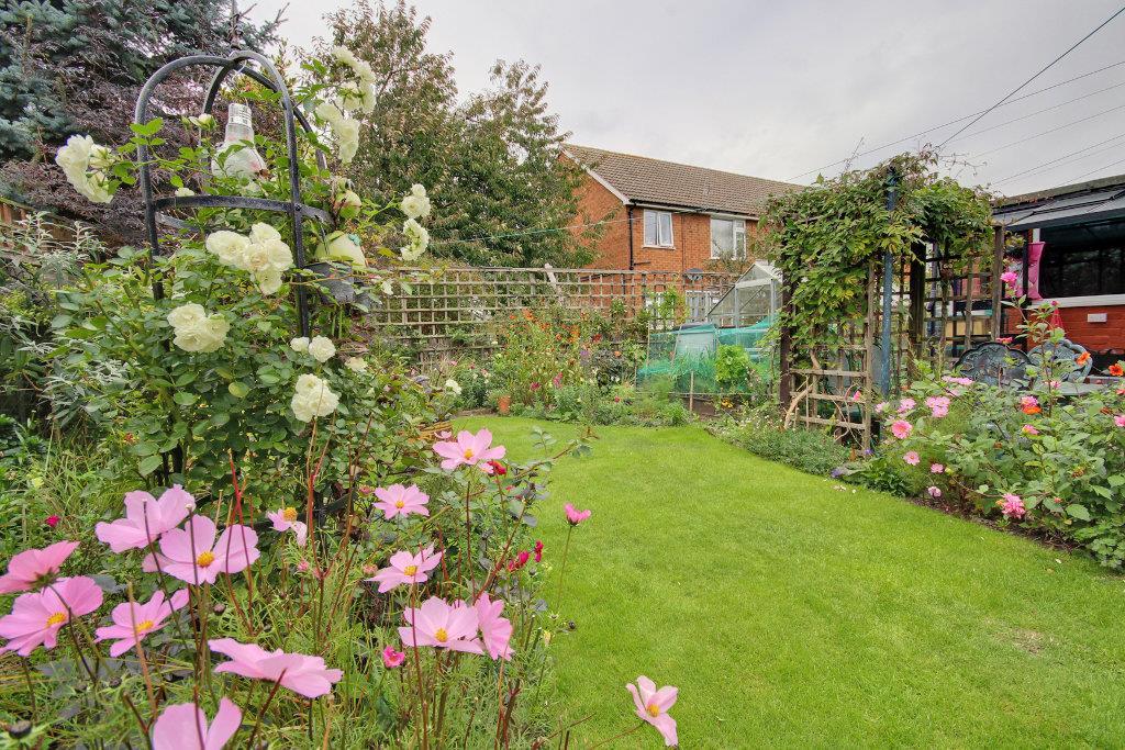 Array of plants and fruit tree