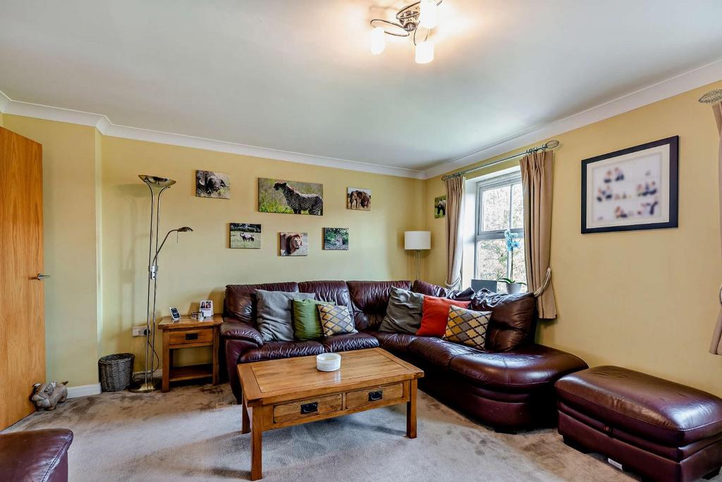8552642-interior14-800.jpg
