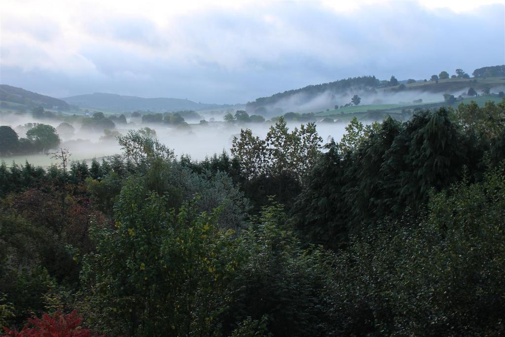 Mist 2.JPG