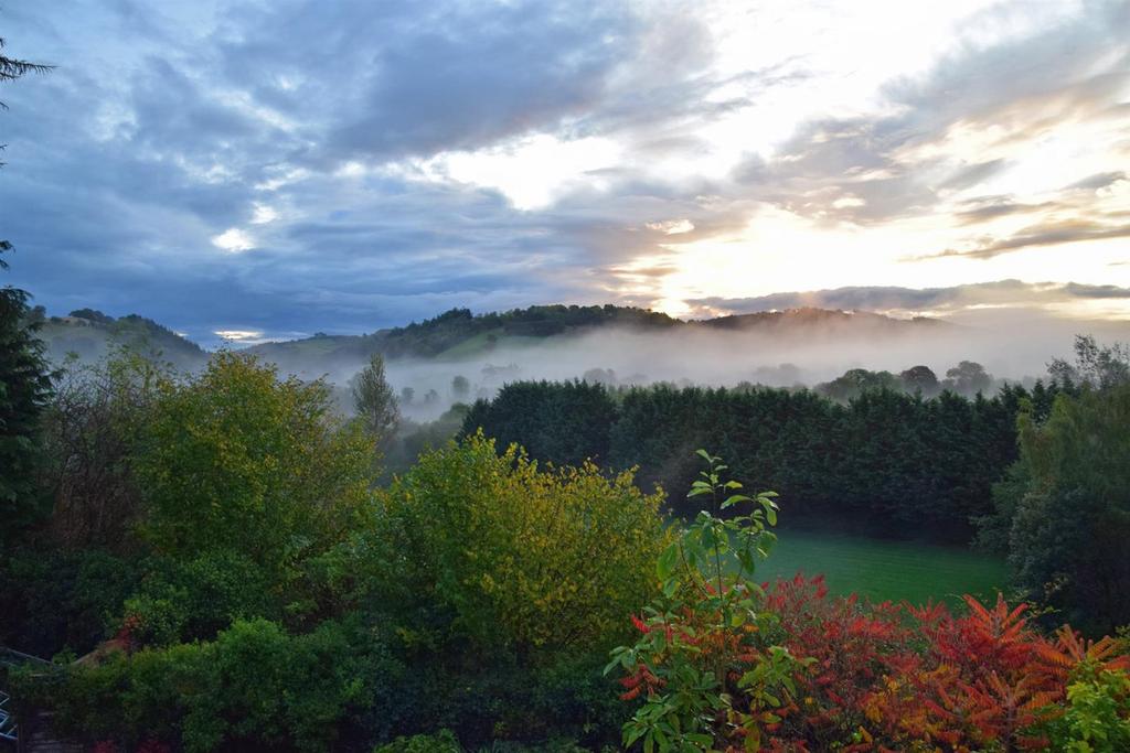 Mist in the valley.jpg