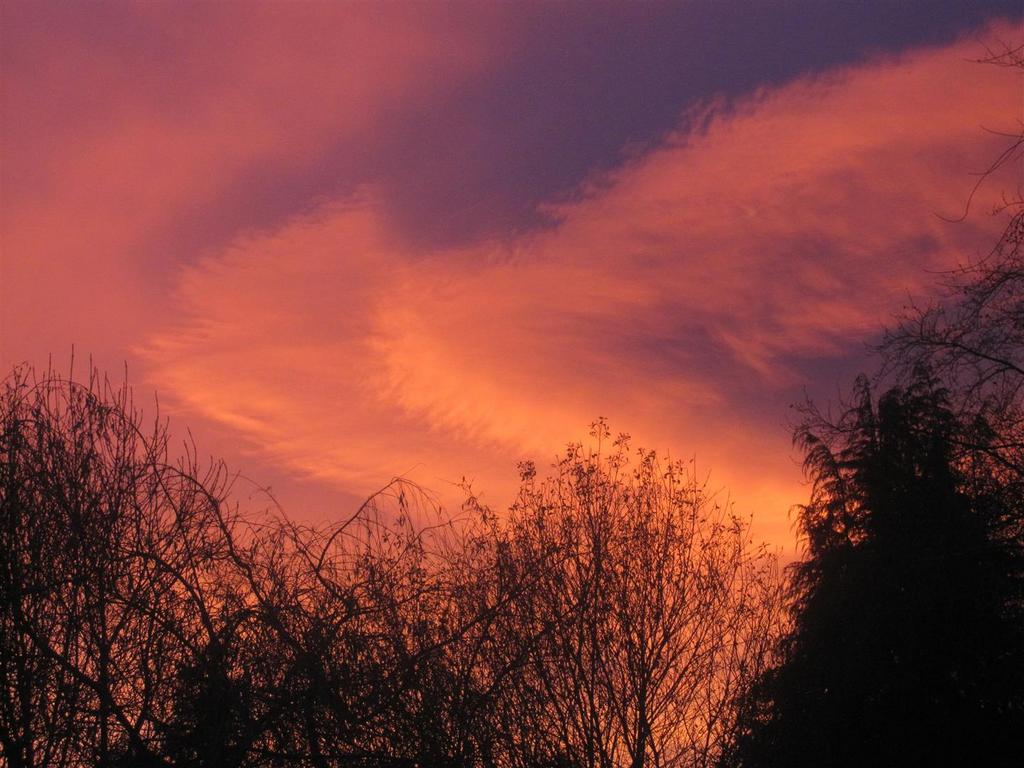 Sunset 2.JPG