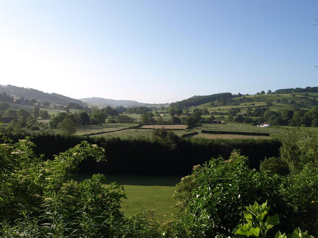 View 3.JPG