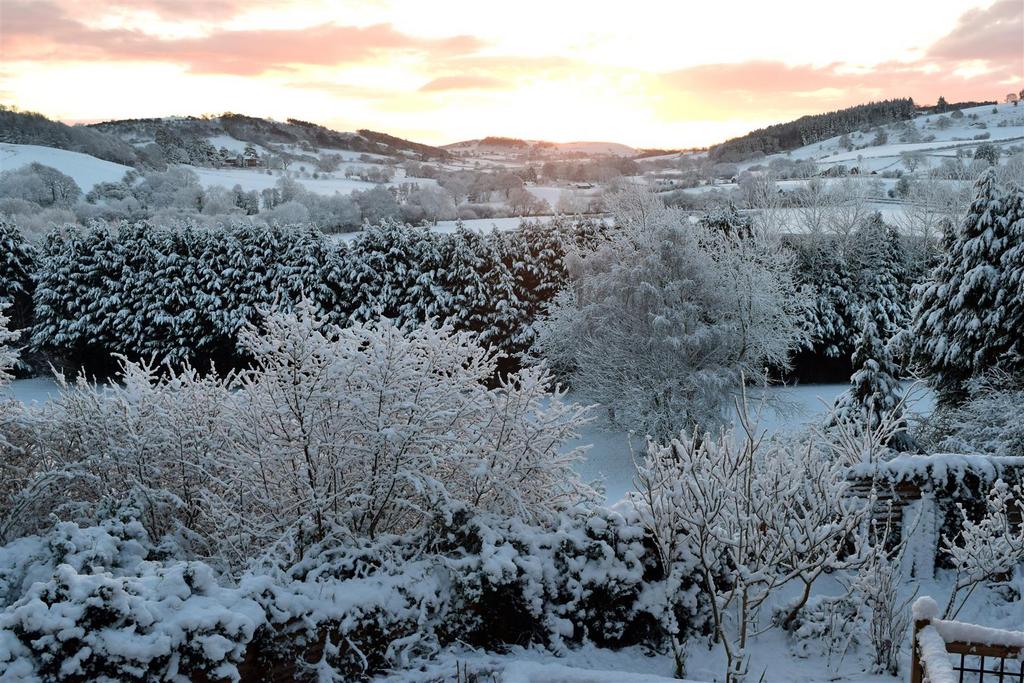 Snow 4.jpg
