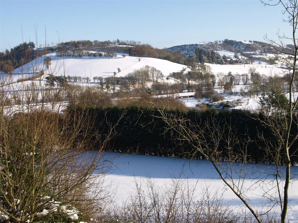 Snow 3.JPG
