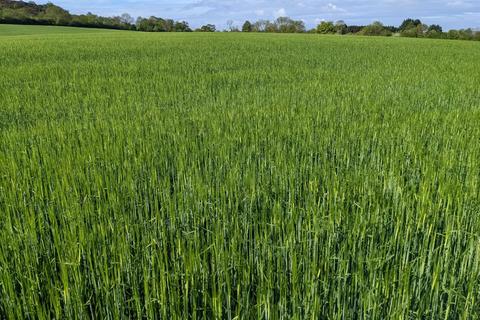 Land for sale - Arable Land off Brailes Road, Barcheston, Shipston-On-Stour