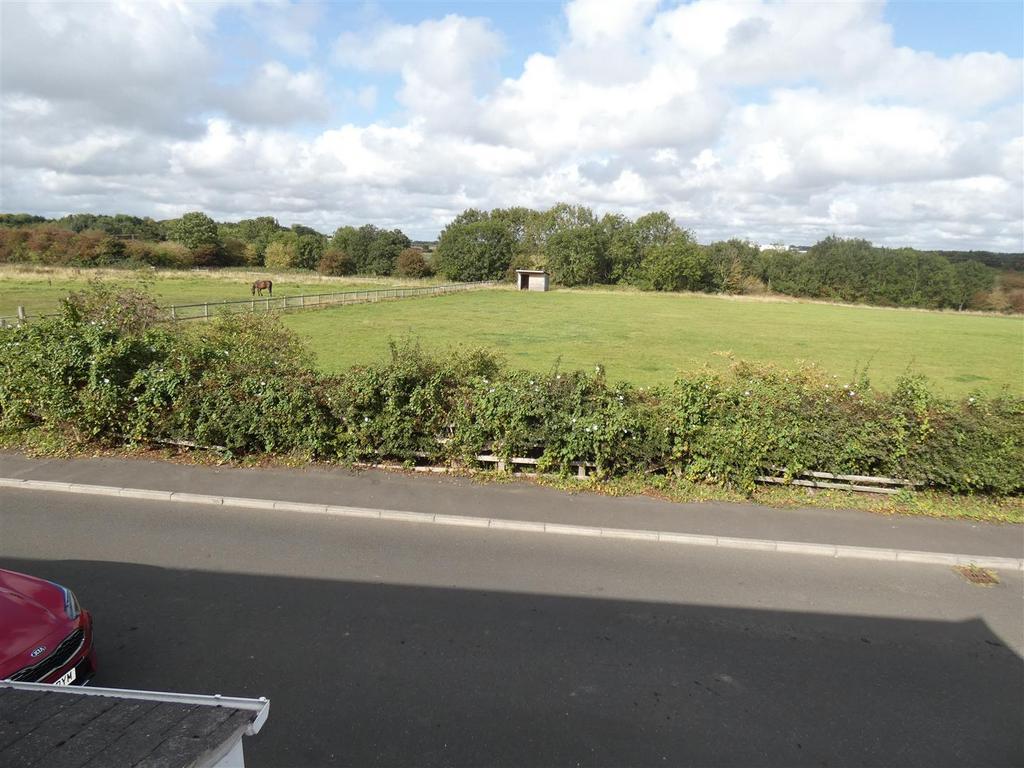 IMG 14658 4 original.jpg