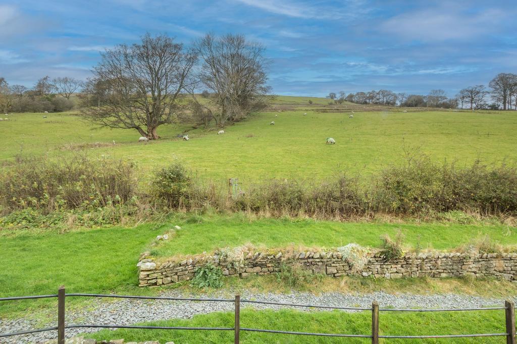 View across garden