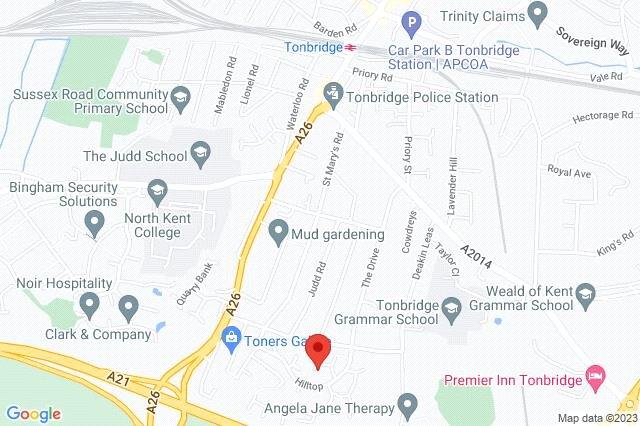 Google Maps Image