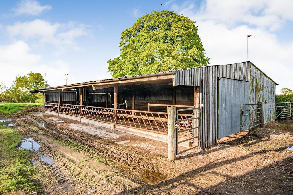 Livestock Shed