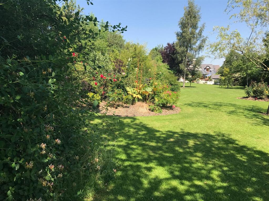 Additional Photo