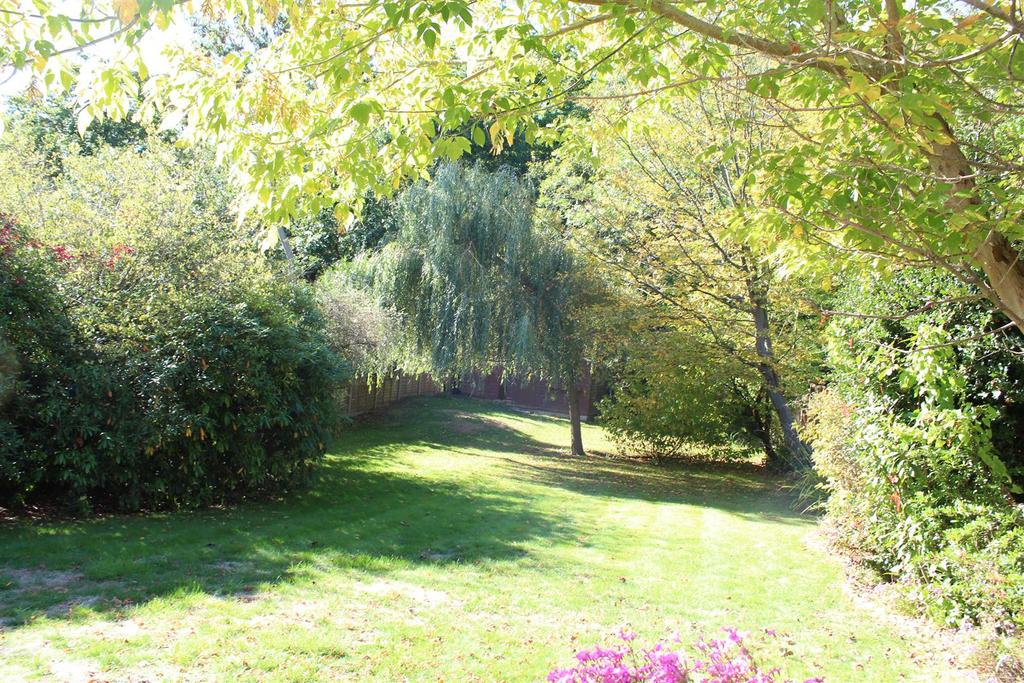 19 Pine Grove 008.JPG