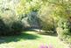 19 Pine Grove 008.JPG
