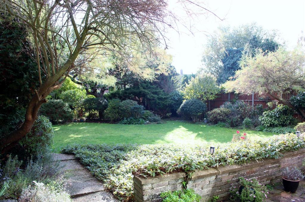 Img 9350.jpg