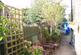 Garden 2.JPG