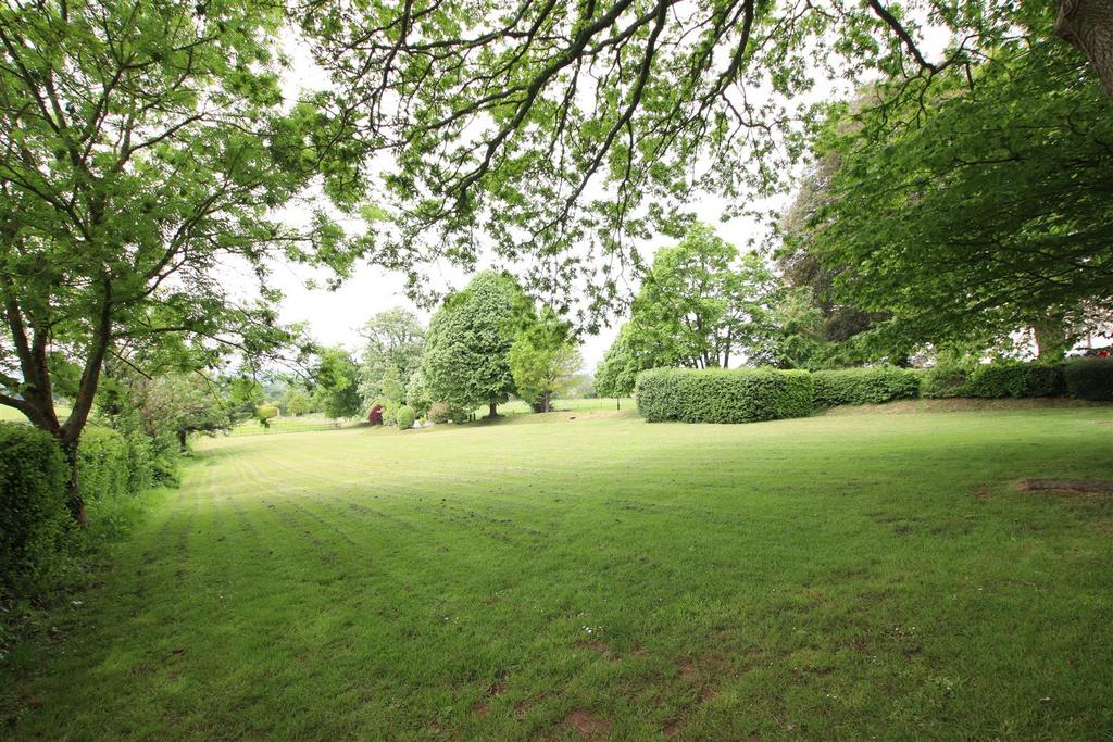Communal Grounds.JPG