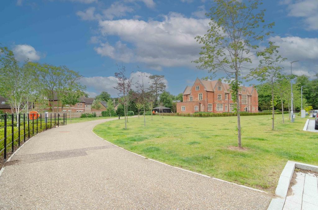 View Of Green