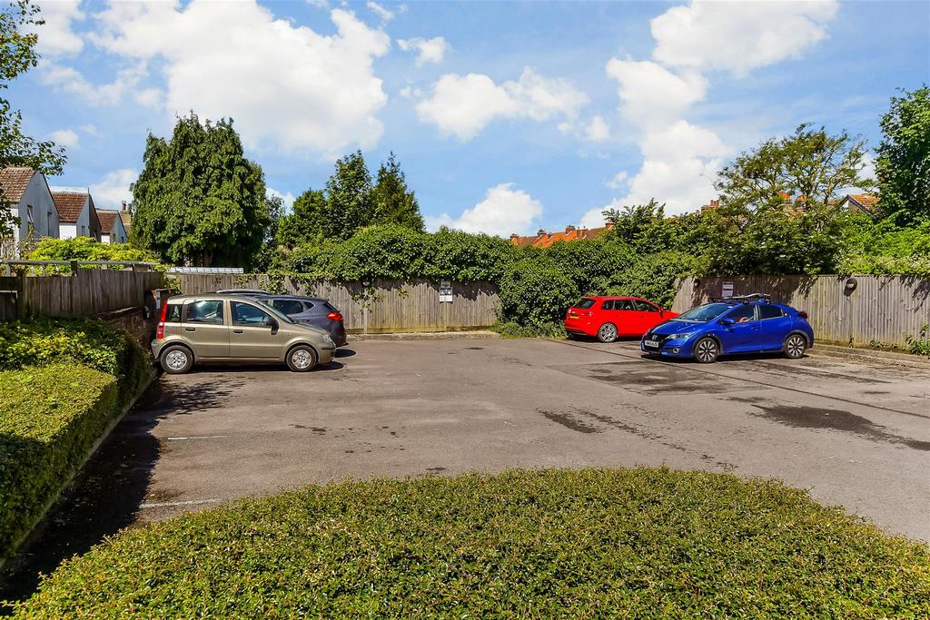Driveway/Parking