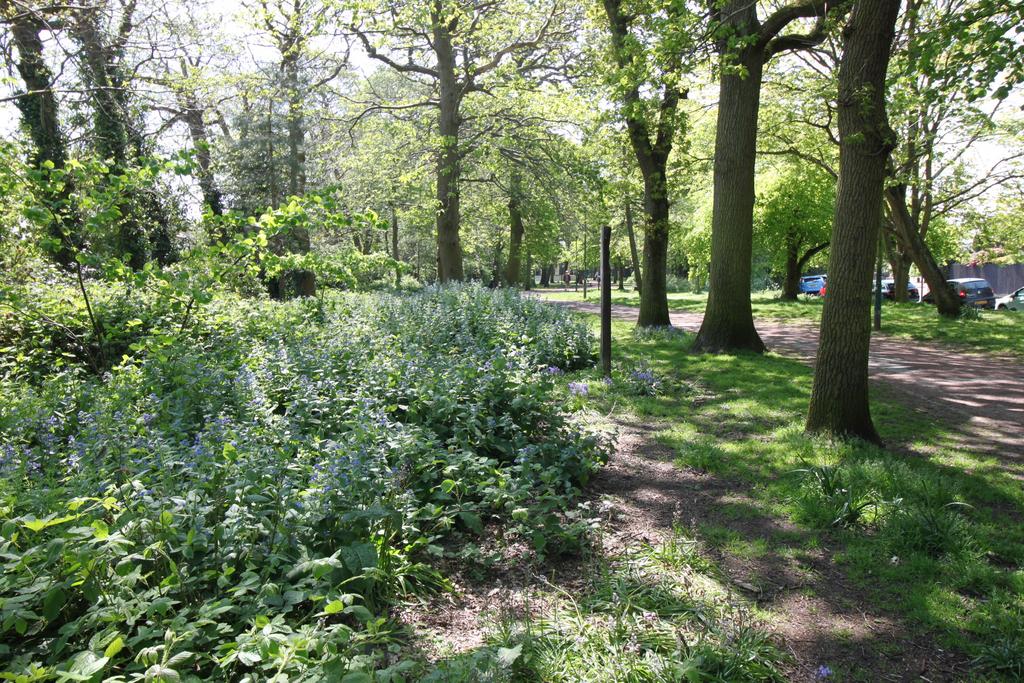 Fishermans Avenue, Bournemouth BH6 - View 2