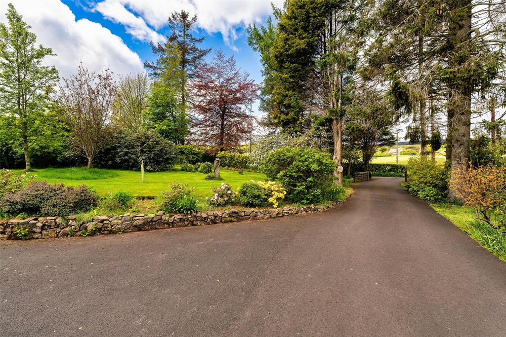 Driveway