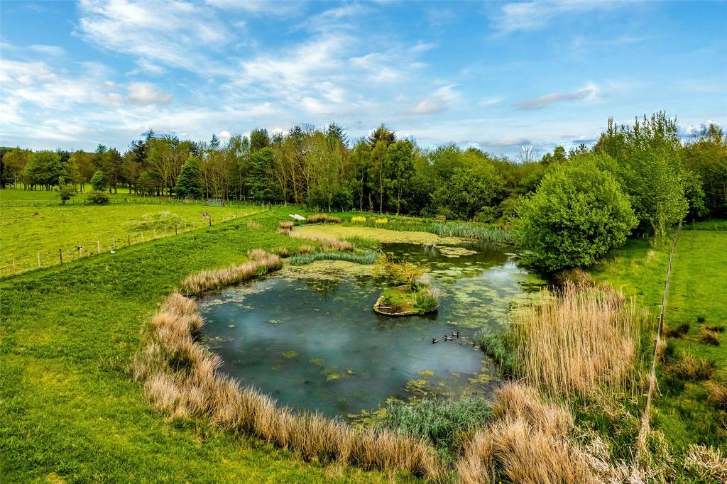 Pond