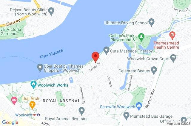 Google Maps Image