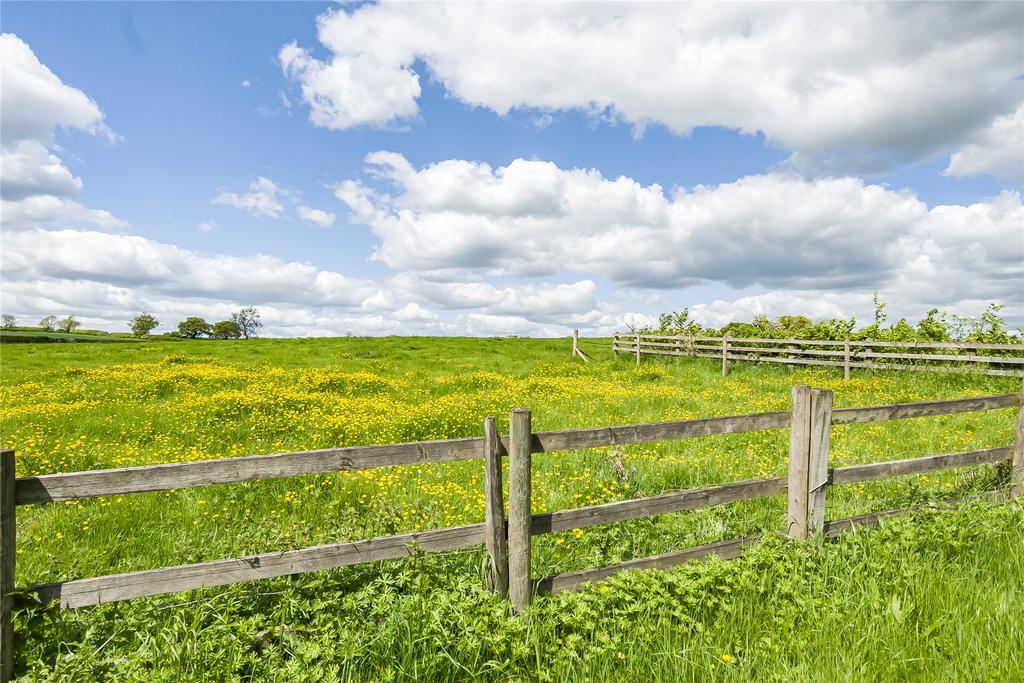 Field Views